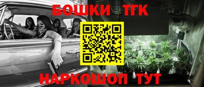 PSILOCYBIN Моздок