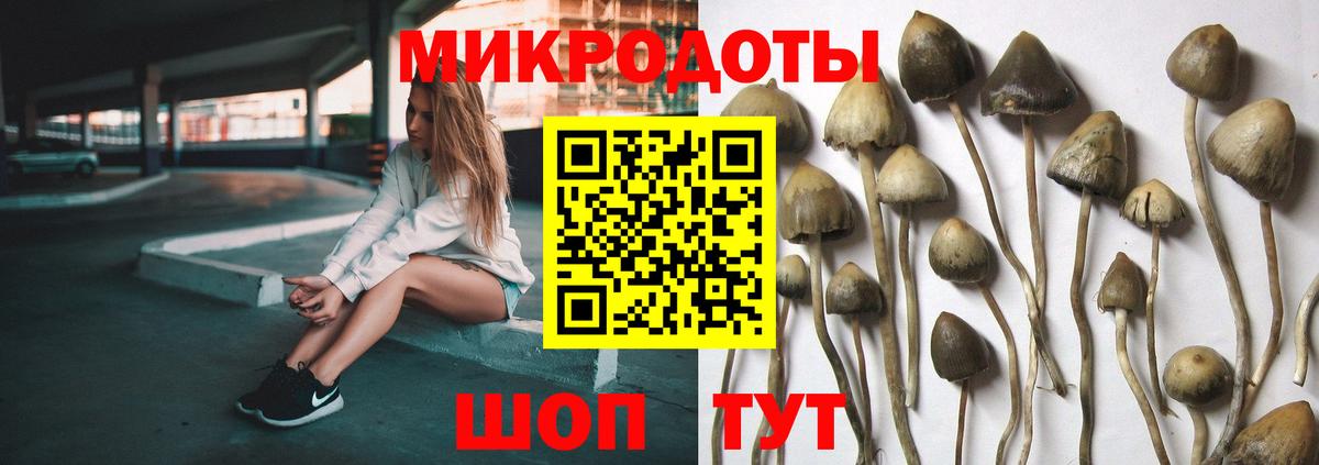 Галлюциногенные грибы Psilocybine cubensis Ханты-Мансийск